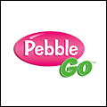 icon pebble go